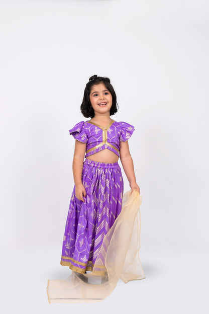 Elaisha Girls Brocade ruffled Sleeve Lace Embellished Top, Skirt & Tissue Dupatta Set - Mauve