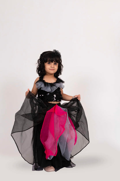 Elaisha Sleeveless Embroidered Top With Skirt Set - Black & Hot Pink