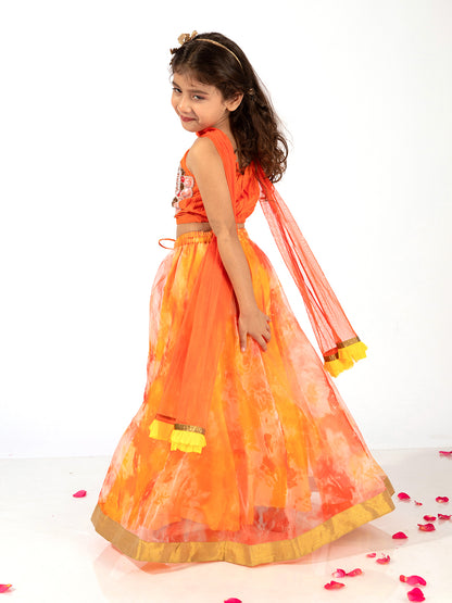 Elaisha Girls Spaghetti Butterfly hand Embroidered Top and Organza Flared Skirt Set - Orange