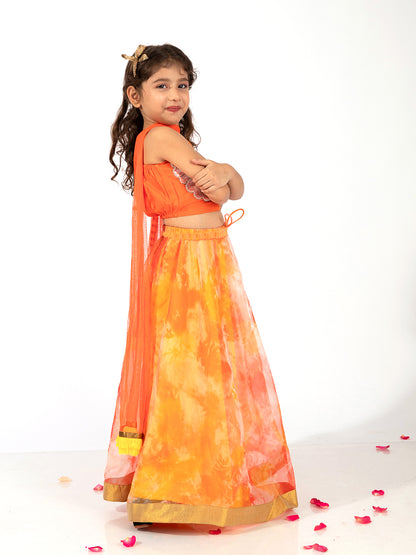 Elaisha Girls Spaghetti Butterfly hand Embroidered Top and Organza Flared Skirt Set - Orange