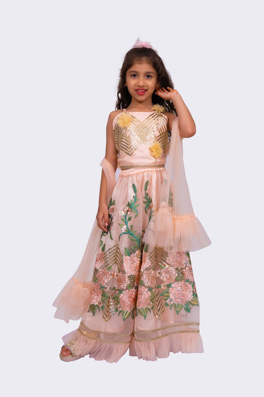 Elaisha Woven Sleeveless Embellished Top & All Over Embroidered Lehenga With Dupatta-peach