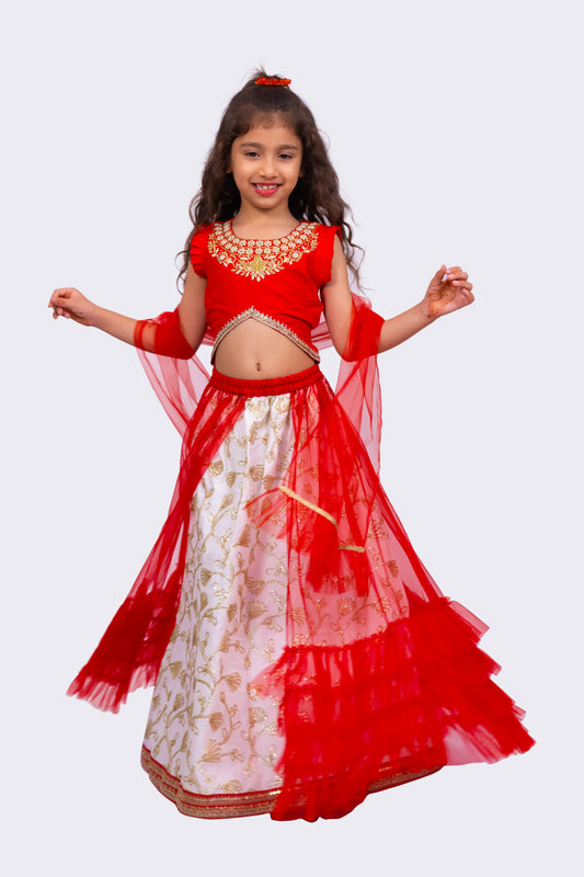 Elaisha Woven Sleeveless  Placement Embroidered Top & Embellished Lehenga With Dupatta-Red