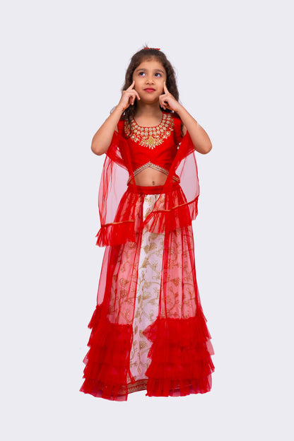 Elaisha Woven Sleeveless  Placement Embroidered Top & Embellished Lehenga With Dupatta-Red