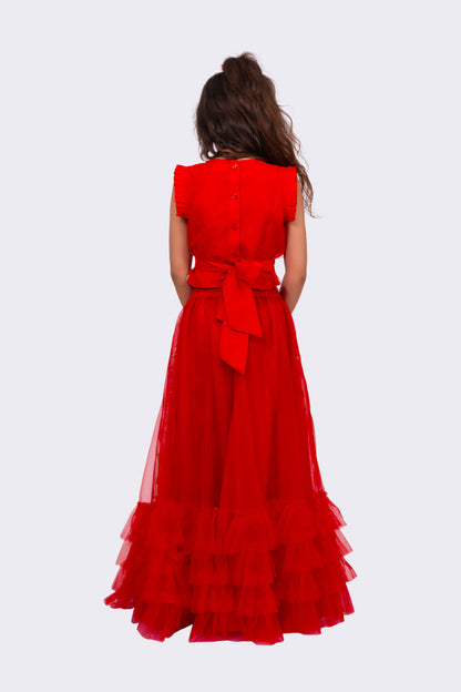 Elaisha Woven Sleeveless  Placement Embroidered Top & Embellished Lehenga With Dupatta-Red