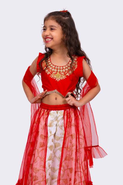 Elaisha Woven Sleeveless  Placement Embroidered Top & Embellished Lehenga With Dupatta-Red