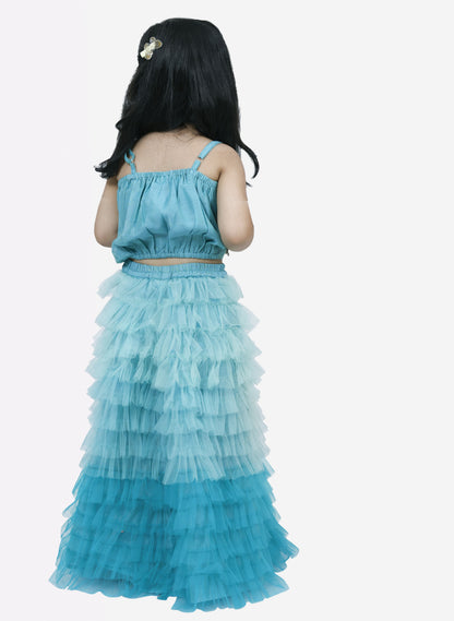 Elaisha Woven Sleeveless Placement Embroidered Top With Net lehenga-Blue