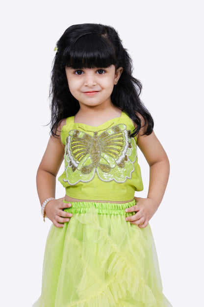 Elaisha Woven Sleeveless Placement Embroidered Top With Net lehenga-Limegreen
