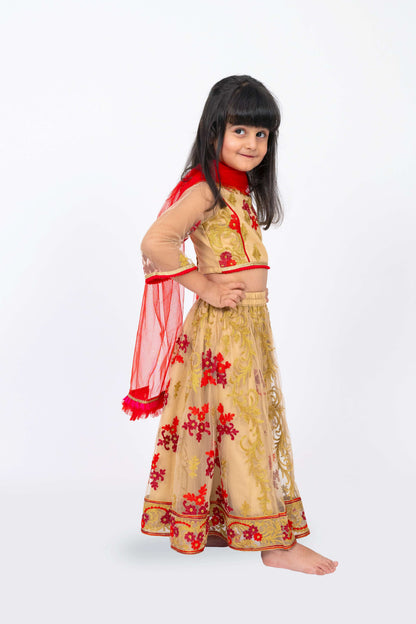Elaisha Girls Floral Motifs Heavily Embroidered Top & Ghagra with Net Dupatta Set - Beige & Red