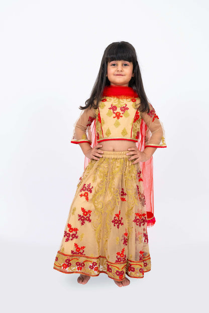 Elaisha Girls Floral Motifs Heavily Embroidered Top & Ghagra with Net Dupatta Set - Beige & Red