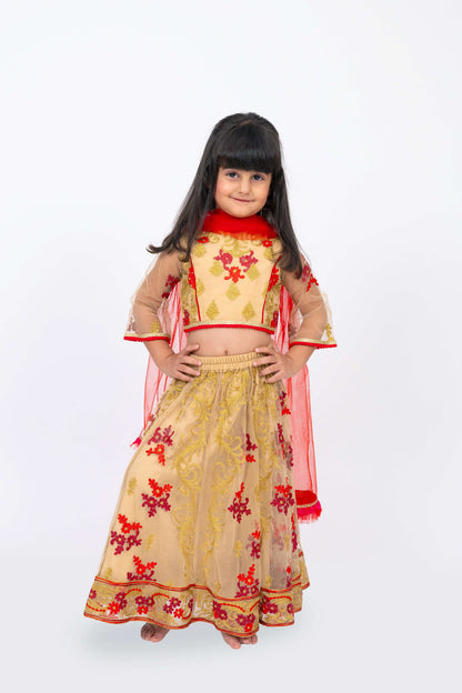 Elaisha Girls Floral Motifs Heavily Embroidered Top & Ghagra with Net Dupatta Set - Beige & Red