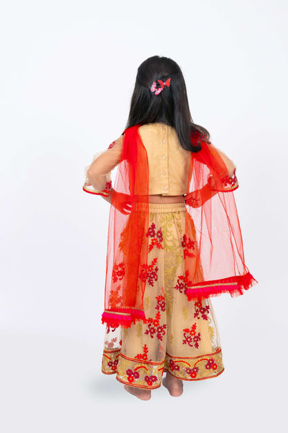 Elaisha Girls Floral Motifs Heavily Embroidered Top & Ghagra with Net Dupatta Set - Beige & Red