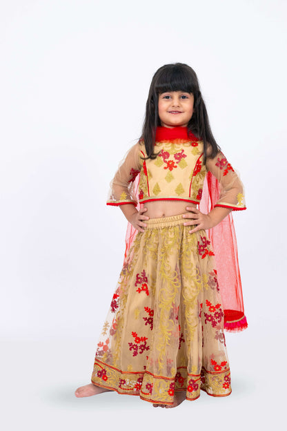 Elaisha Girls Floral Motifs Heavily Embroidered Top & Ghagra with Net Dupatta Set - Beige & Red