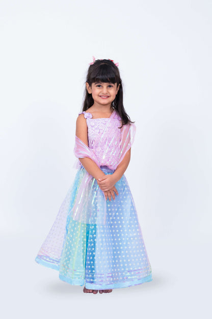 Elaisha Girls Sequin Top with Draped Dupatta & Printed Net Skirt Set - Mauve
