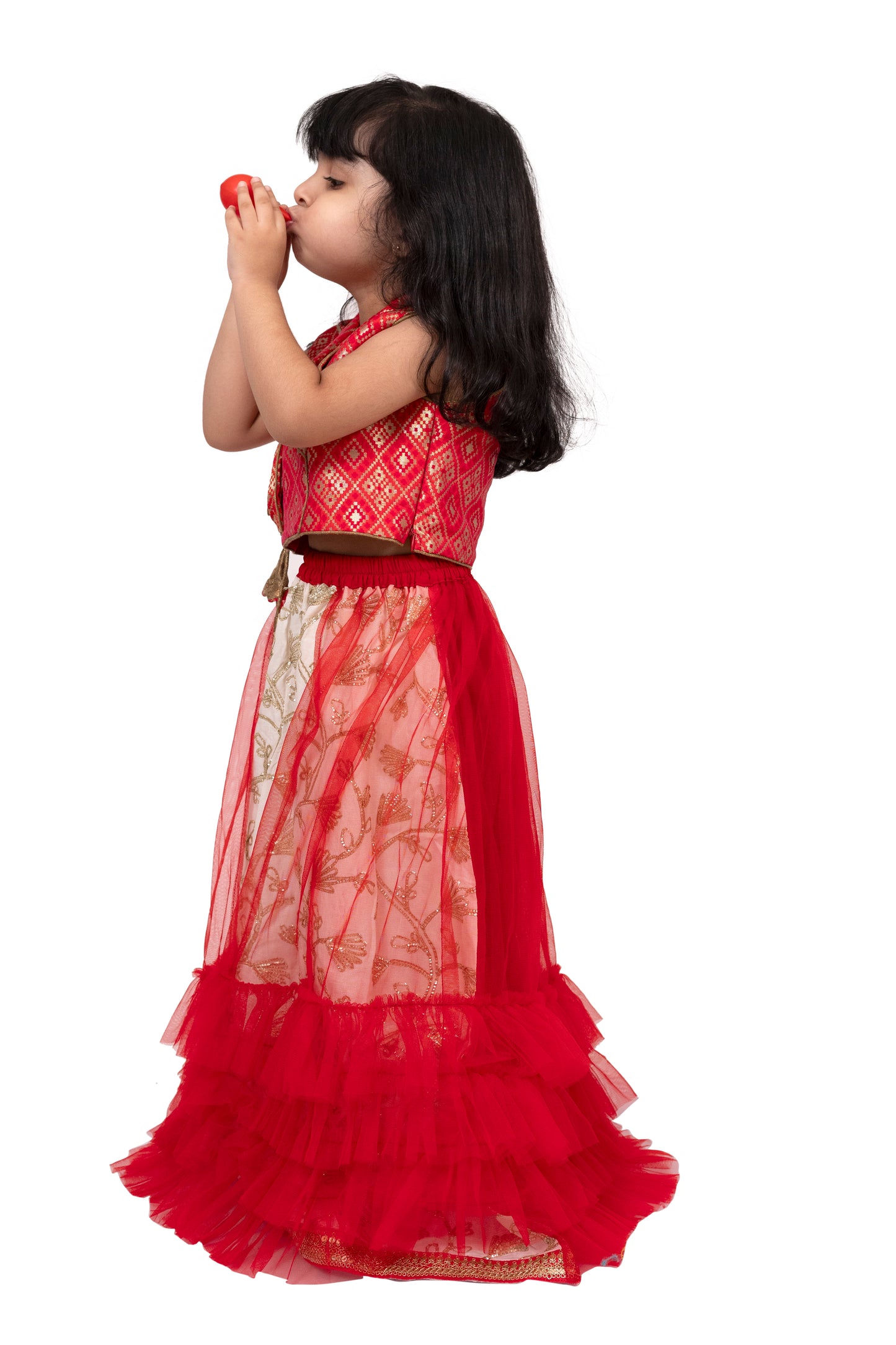 Elaisha Brocade Sleeveless Embellished Top with Lehenga - Red & White