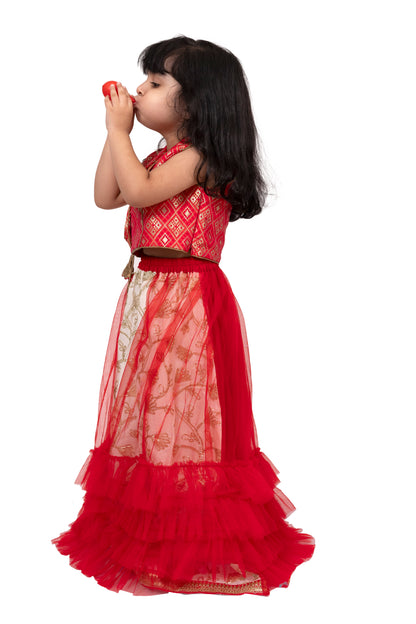 Elaisha Brocade Sleeveless Embellished Top with Lehenga - Red & White