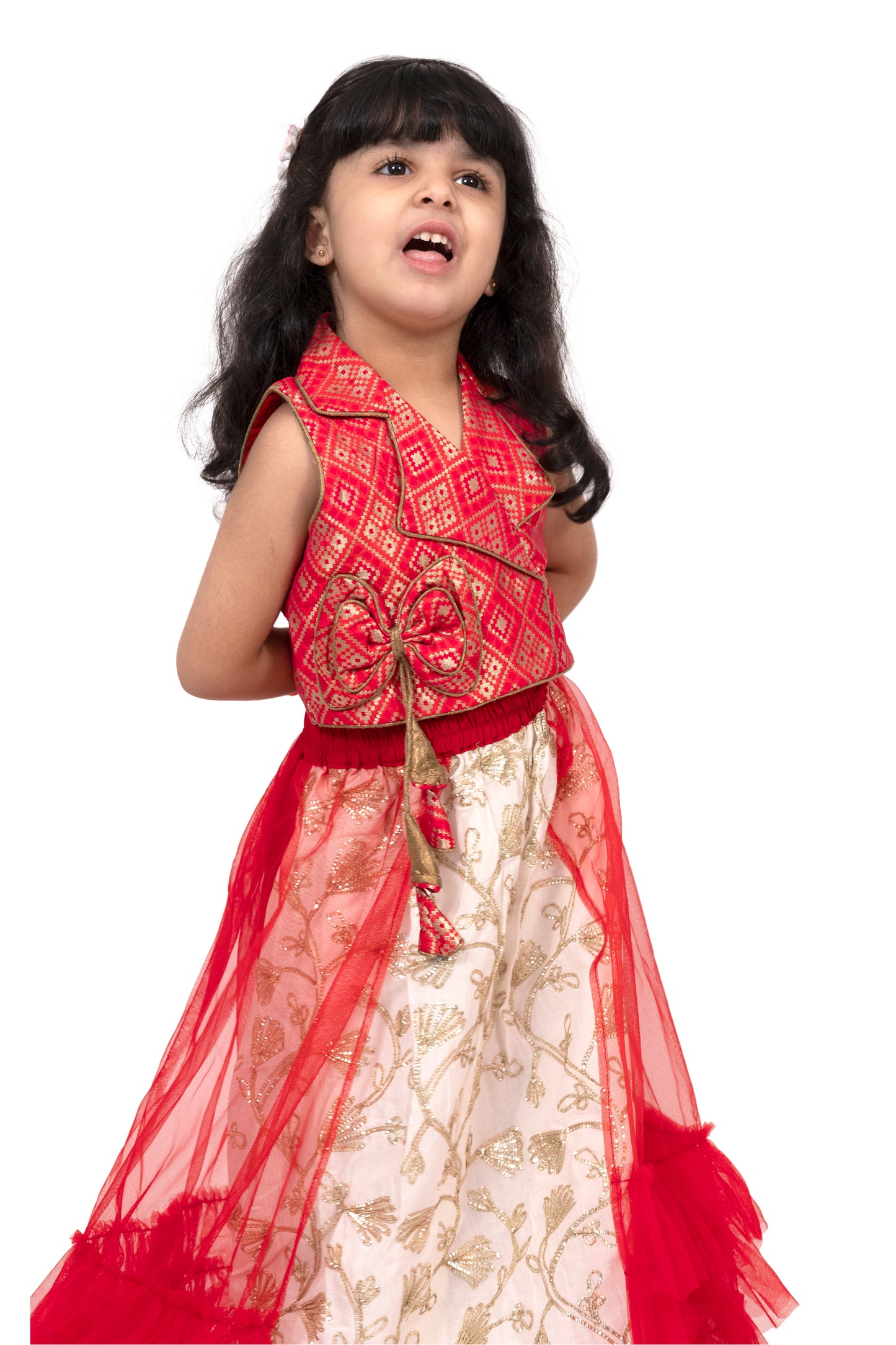 Elaisha Brocade Sleeveless Embellished Top with Lehenga - Red & White