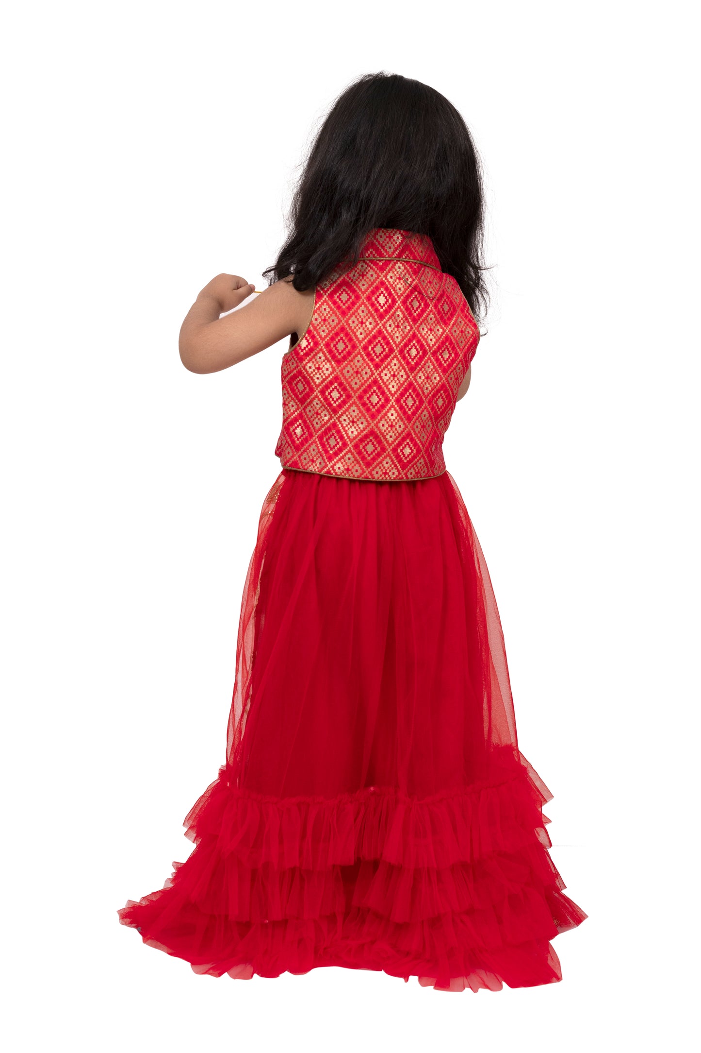 Elaisha Brocade Sleeveless Embellished Top with Lehenga - Red & White